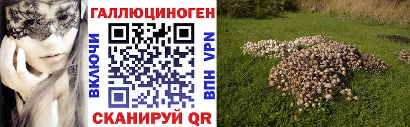 Купить закладки  Аткарск  Псилоцибиновые грибы прущие грибы 