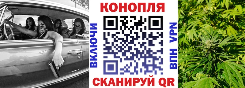 Купить где  Аткарск  Каннабис конопля 